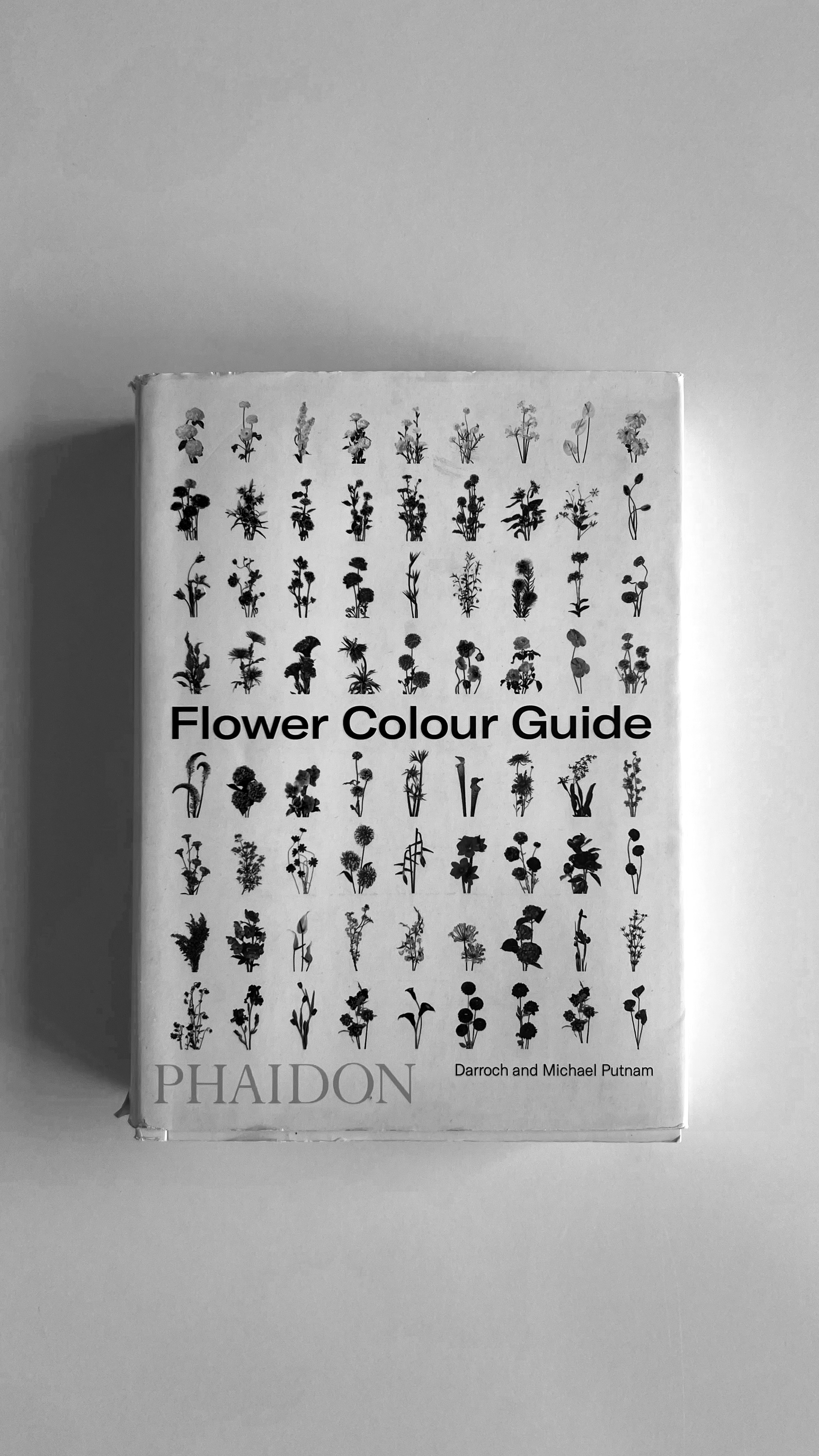 Flower Colour Guide